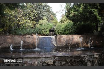 طبیعت پاییزی باغ راه فدک تهران 29
