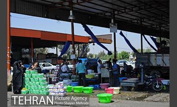 بازار میوه تربار مرکزی 23