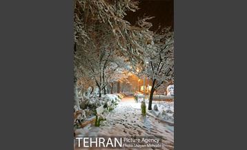 صبح برفی تهران 4