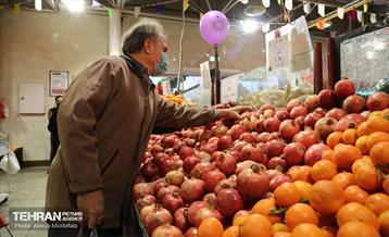 بازدید مدیرعامل سازمان تره‌وبار از میادین میوه 37