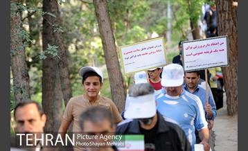همایش پیاده روی خانوادگی کارکنان شهرداری 6