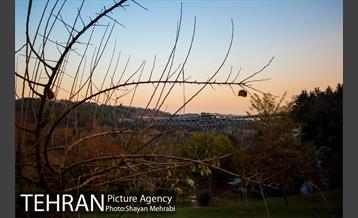 پاییز اراضی عباس آباد 40