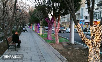 استقبال از بهار - 5 9