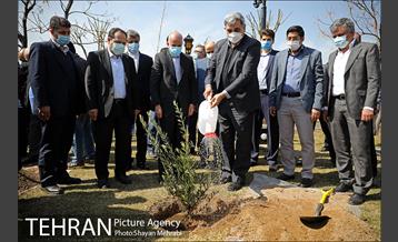 مراسم کاشت درخت صلح و دوستی 23