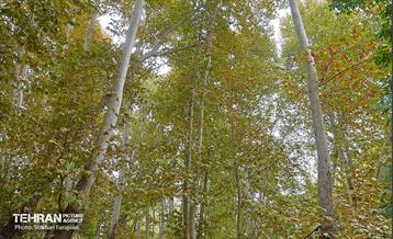 ­اکوپارک رود دره فرحزاد 37