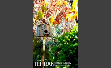 شهرک صدرا 45