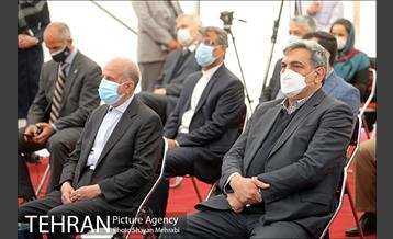 مراسم کاشت درخت صلح و دوستی 6