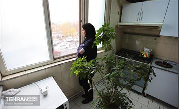 زنان شهر؛ آتش نشان 33