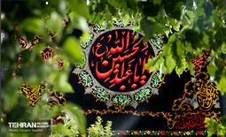 رخت عزا بر تن منطقه 5