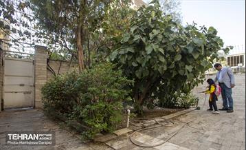 من ژوان یک کلاس اولی  21