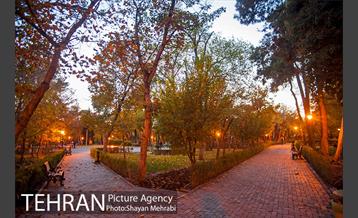 طبیعت پاییزی پارک شهر 16