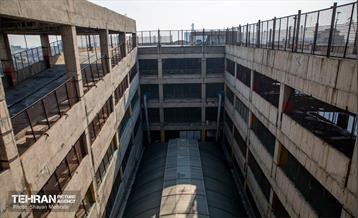 جای خالی پروانه ها 7