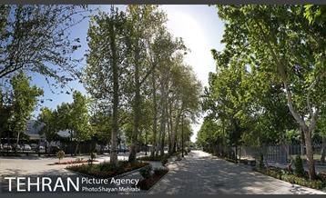 گذر پیاده راه استاد شهریار 20