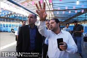 بازدید سعید راد از مراکز عرضه دام  13