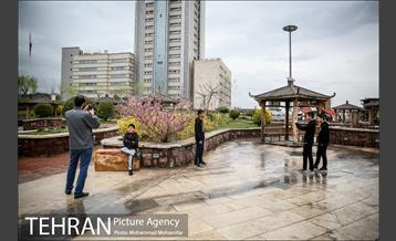 بوستان نوروز 7