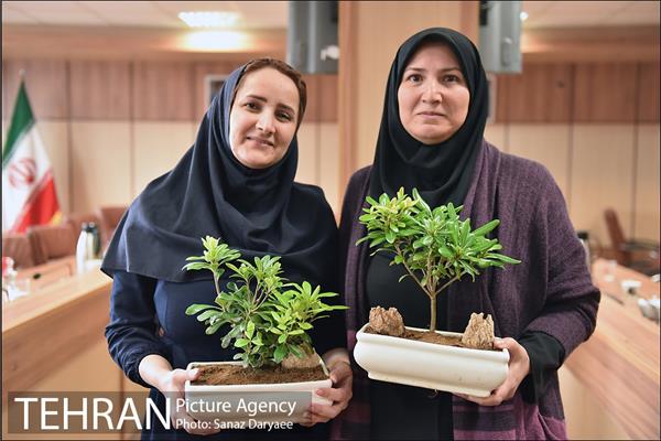 تجلیل از بانوان مرکز ارتباطات و امور بین الملل شهرداری تهران 18