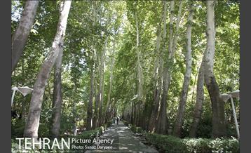 دهمین تور عکاسی آژانس عکس تهران از مکان های شاخص منطقه یک 23