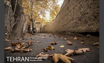 پاییز زیبای منطقه کن 22