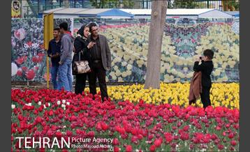جشنواره لاله‌ها در بوستان زندگی محله هرندی 2