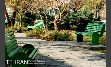 بوستان بنفشه 14