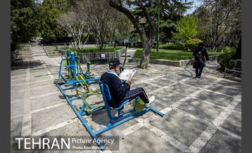 بوستان نیاوران 13