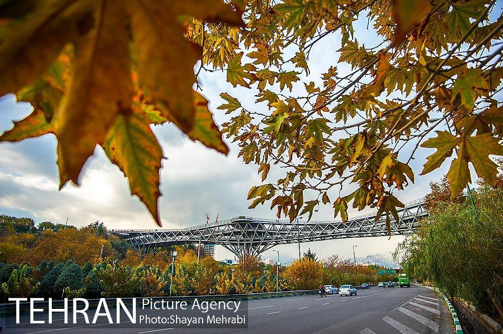 به مناسبت ده سالگی پل طبیعت 3