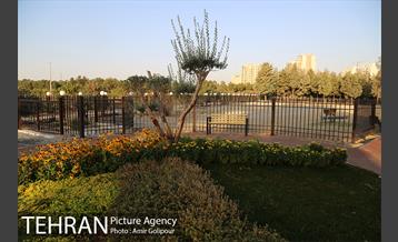 باغ راز هستی 16