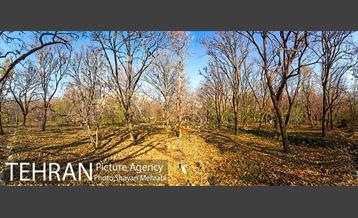 کوچه باغ های محله کن 4