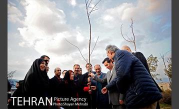 کاشت شش نهال درخت زیتون با حضور کارگرداران سینمای ایران 4