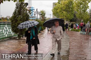 روز طبیعت بارانی در بوستان رازی 18