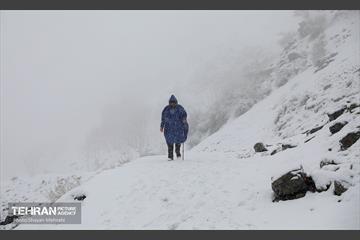 بارش برف زمستانی در تهران 14