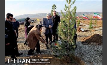 بررسی بوی نامطبوع در مسیر فرودگاه امام خمینی(ره) -2 5