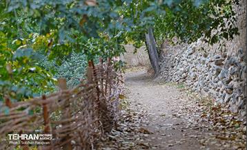 ­اکوپارک رود دره فرحزاد 6