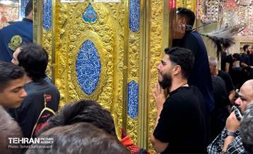 حرم مطهر امام علی (ع) در آستانه اربعین حسینی 15