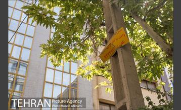 تبلیغات کوچک و بزرگ ، بلای جان نمای ساختمان ها‎ 18