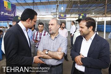 عرضه بهداشتی دام در جایگاه منطقه 2 شهرداری تهران  19