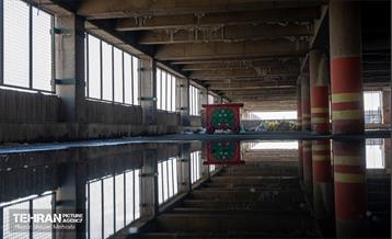 جای خالی پروانه ها 2