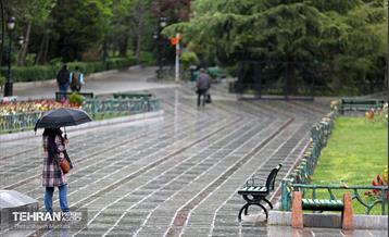 بارش باران بهاری در تهران - 2 22