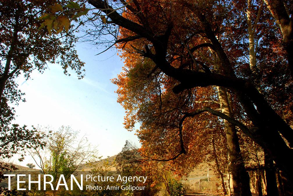 پاییز در روستای ازگی 5