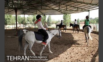 سوارکاری ورزشی برای کودکان‎ 14