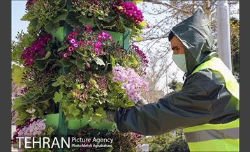 اجرای طرح استقبال از نوروز ۱۴۰۰ در منطقه 8