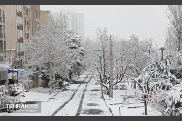 صبح آدینه برفی  25