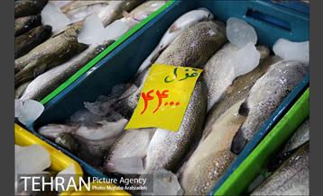 یلدایِ نجومی قیمت‌ها 17