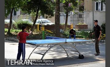 بوستان هفت چنار 16