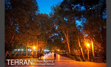 طبیعت پاییزی پارک شهر 20