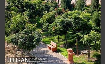 بوستان زندگی 12