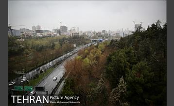 بارش باران بهاری در تهران 33