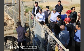 بازدید پیروز حناچی شهردار تهران از دهکده مهربانی 3