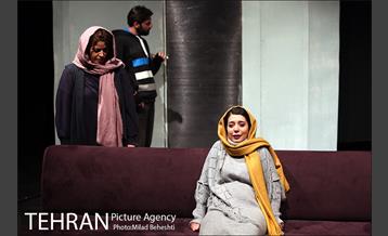 نمایش پروانه الجزایری 10