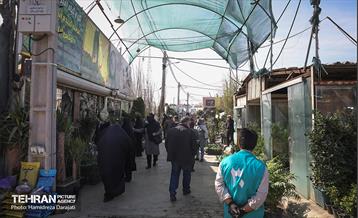 بازار گل محلاتی  42